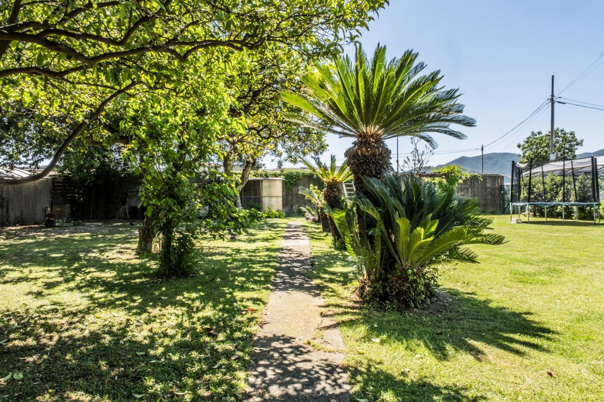 Agriturismo Giorgi Appartamenti In Riviera Ligure Албенга Екстериор снимка